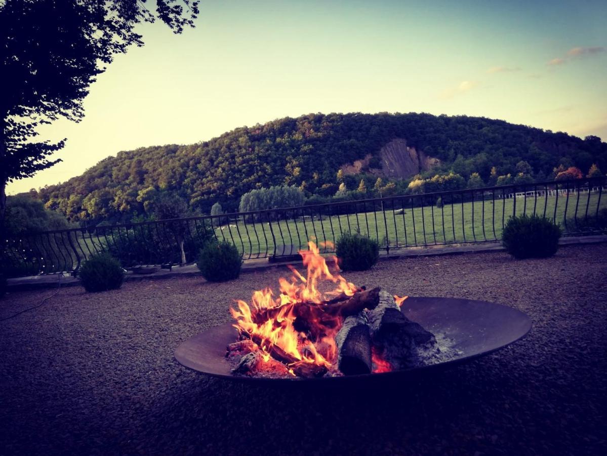Chateau Martin Esneux Dış mekan fotoğraf